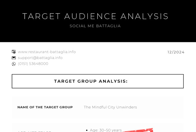 create your custom content plan and target audience analysis for social media
